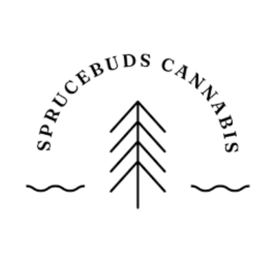 Spruce Buds